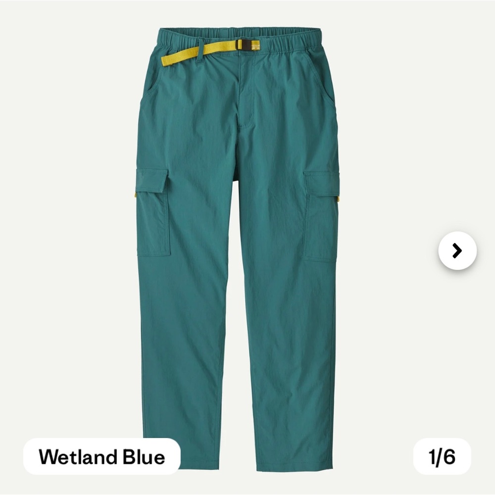 Patagonia Wetland Blue Cargo Pants